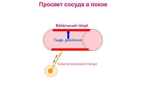 Даркнет сайт войти